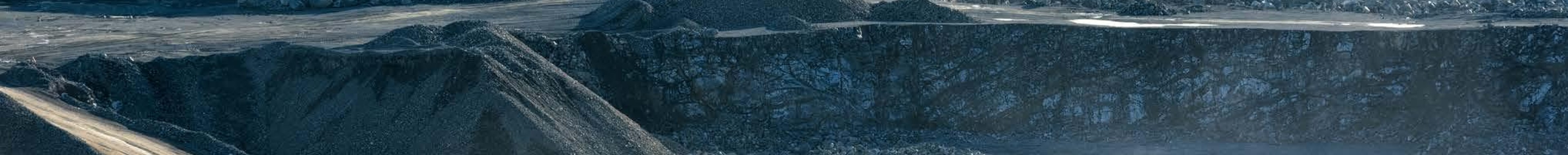 Lĩnh vực kinh doanh